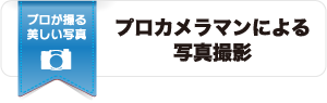 プロカメラマンによる写真撮影